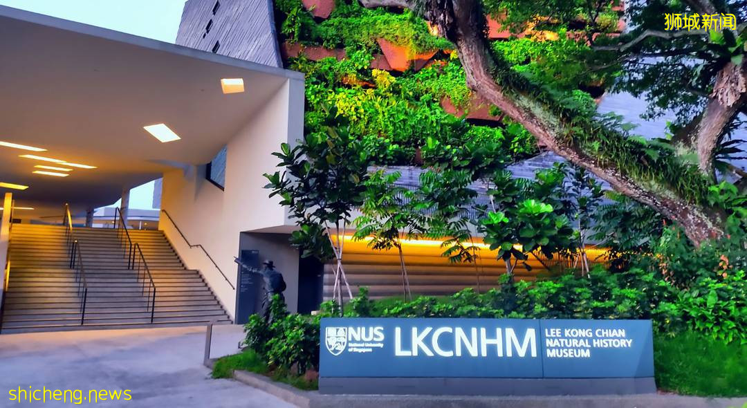 【新加坡留學】2022QS世界大學排名震撼發布!新加坡再次包攬亞洲“冠亞軍”