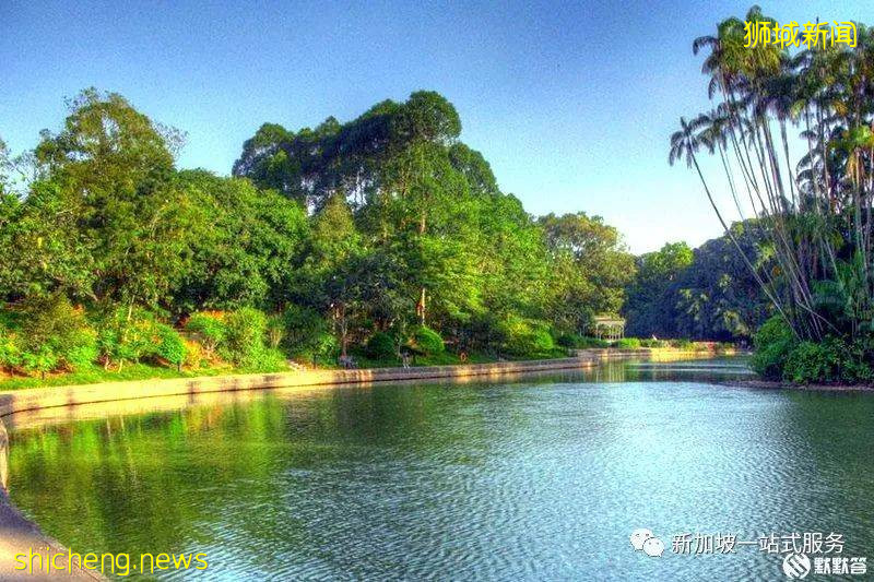 最美麗的自然風光: 新加坡植物園!