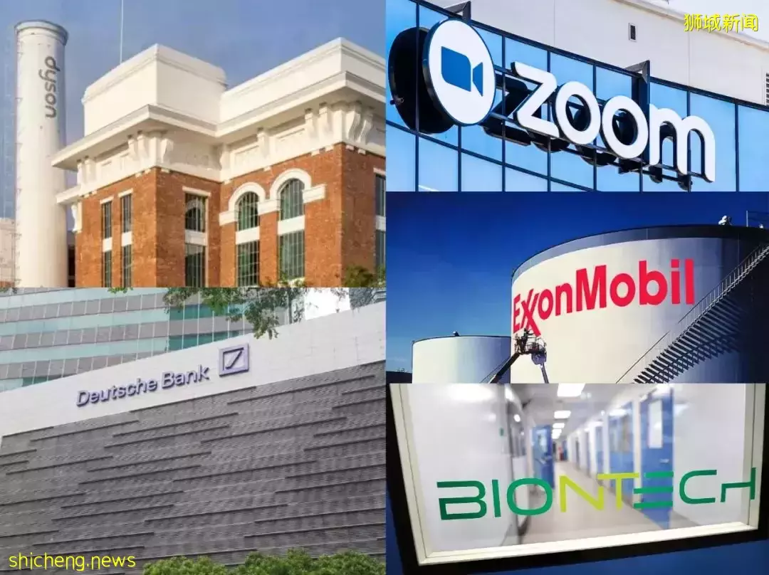 新加坡網友：“台灣求求了，別再cue我們了……”