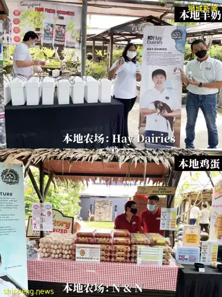 超治愈The Local Farm农夫市集终于回归啦!本地有机农产品、集市现场制作零食超好逛