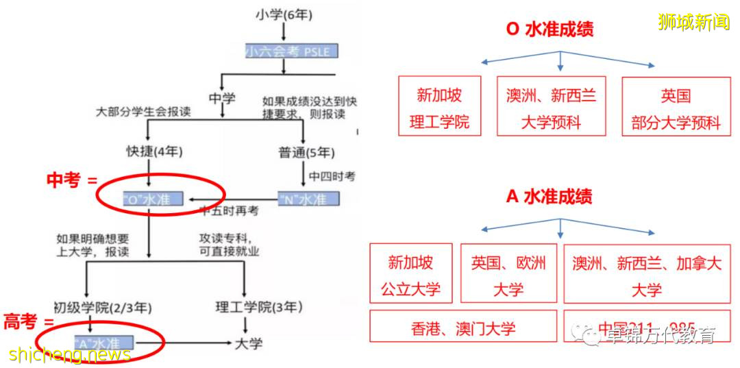 新加坡辅仁的初中 / 高中课程在教什么