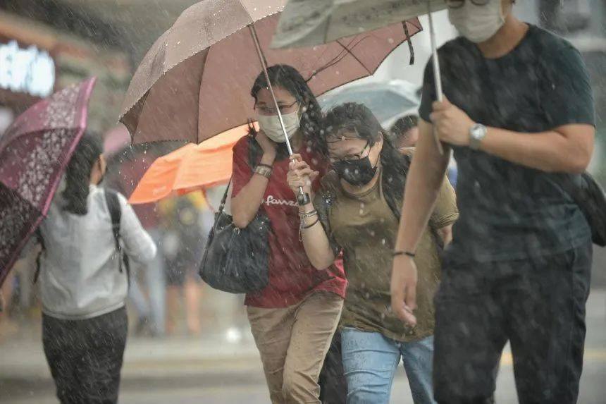 罕見!新加坡聖淘沙這條河變成了粉色,驚現大批死魚!39年創記錄暴雨太作了