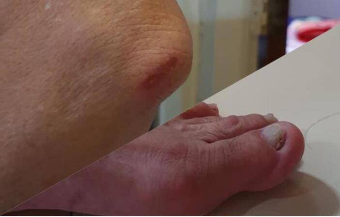 新加坡巴士司机开车忽略一个细节被网友狂怼,或直接失业