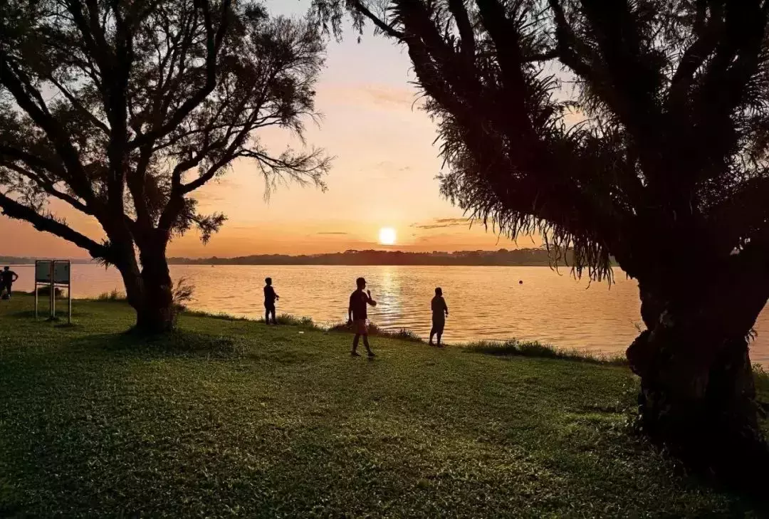 新加坡5个超美夜间骑行路线推荐,发烧友们收好