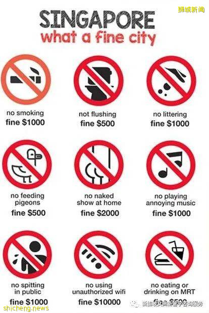 新加坡你不知道的小知識