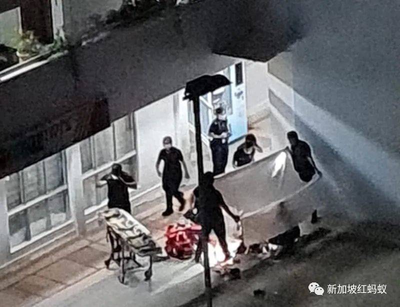 学会辨识亲密关系中的8个危险阶段,或能减少家庭凶杀案