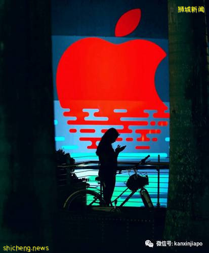 多图,超美!全球首家水上苹果店成新拍照热门地