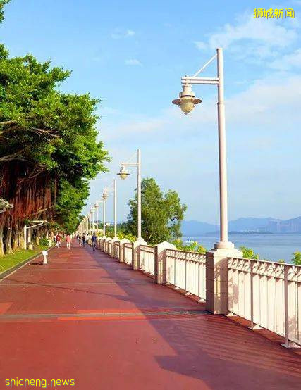 當騎行遇上新加坡,體驗獅城的無限魅力