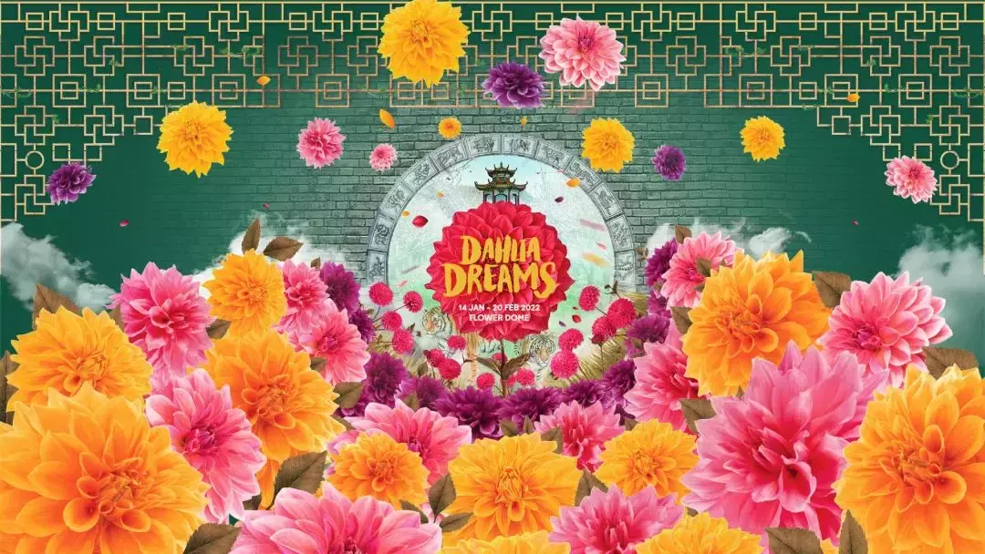 新加坡1月活動看這裏！晝夜璀璨藝術節、牛車水新年花燈、大麗花之夢