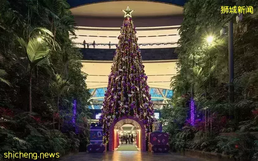 新加坡聖誕好去處,這份節日攻略請查收