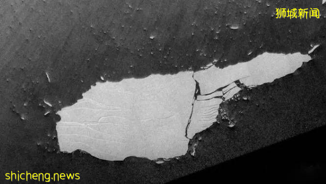 世界最大冰山要消失了?新加坡慌了!砸1000億自救
