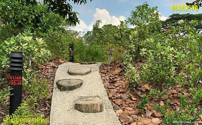 新加坡新開了一個“ 讓心情好起來的神奇兒童公園”，去試試