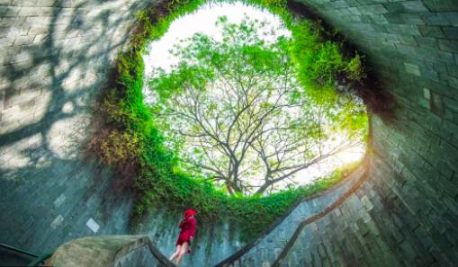 玩在獅城 周末一起去大自然裏野餐——新加坡最適合野餐的十大自然公園