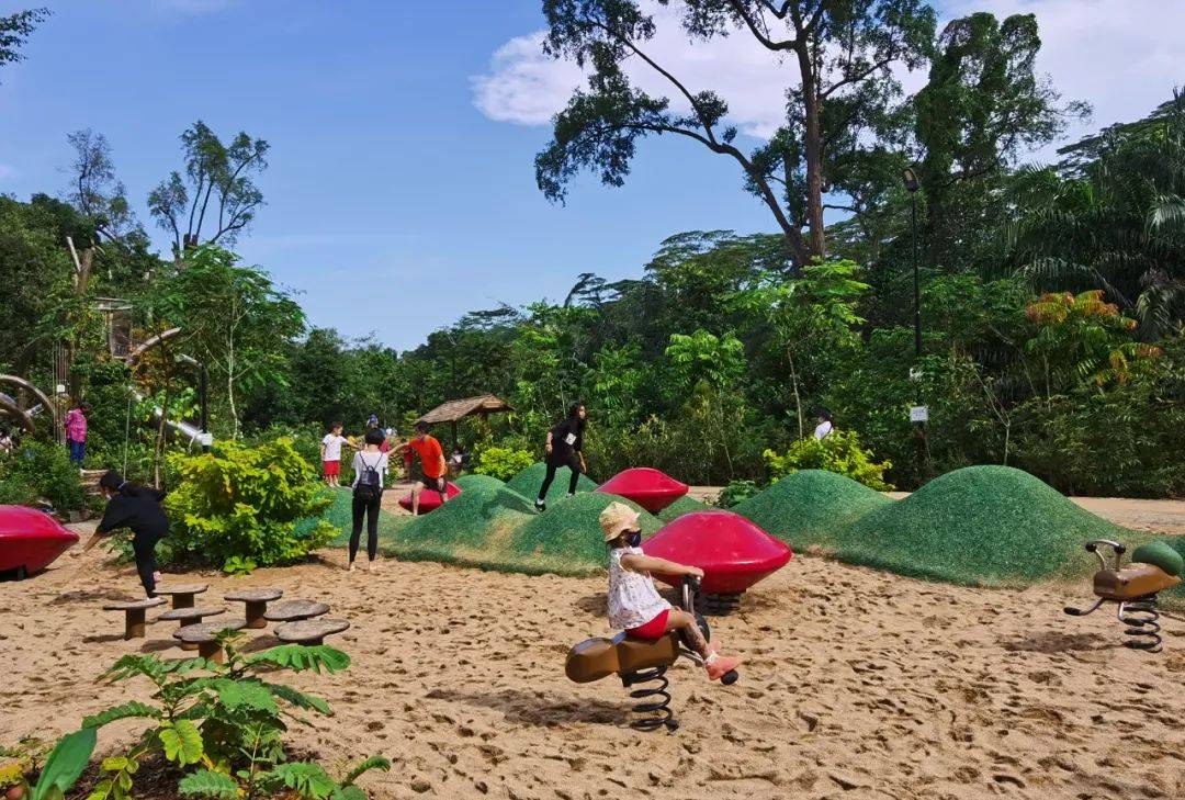 新加坡植物園爆火新景點,不知道怎麽去?手把手教你遊玩攻略