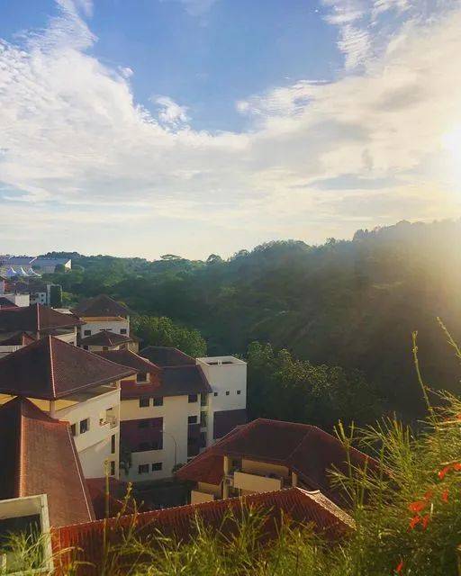 南洋理工大學，每一幀都很美