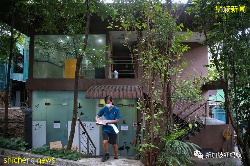 新加坡飛禽公園設有禽類專科醫院　裏面的“病人”最輕5克最重50公斤