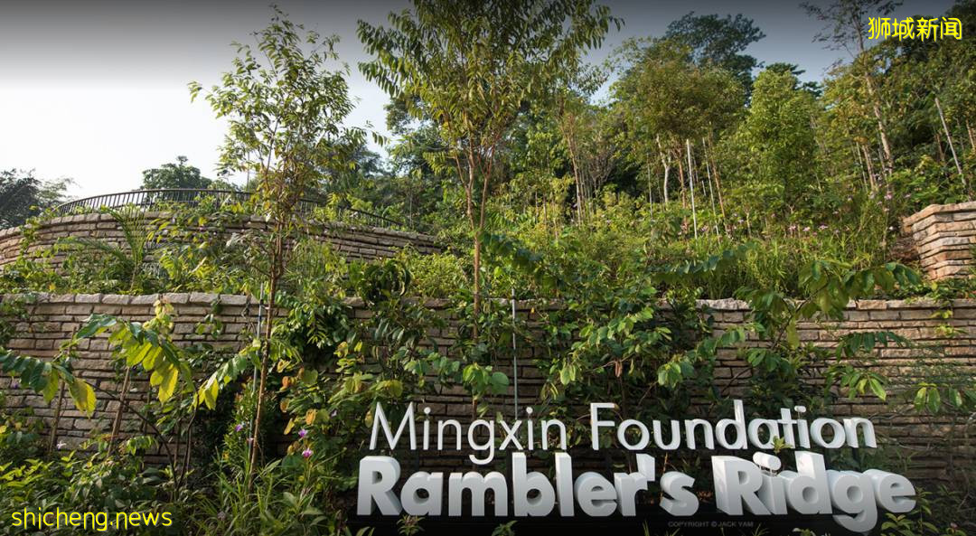 叢林遊樂場、自然博物館、山路徒步……新加坡這個公園翻新後更好玩啦