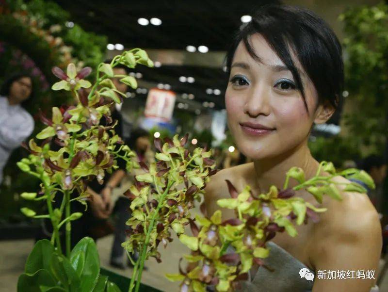 中國有桌球外交，新加坡有胡姬花外交，藏著許多鮮爲人知的有趣故事