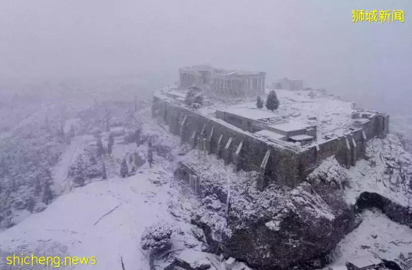 网友吐槽:新加坡机场以防疫为借口,让其和两岁的孩子只能在机场打地铺