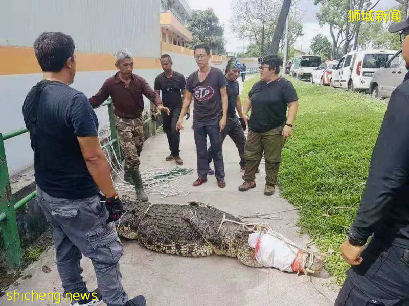 解封後，新加坡有“一對情侶”在馬路上沒戴口罩，公然擁抱!