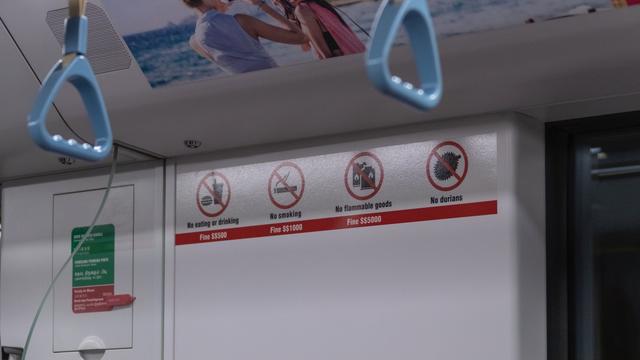 新加坡10天深度自由行，感受世界最嚴法律下的四大種族交融之地3