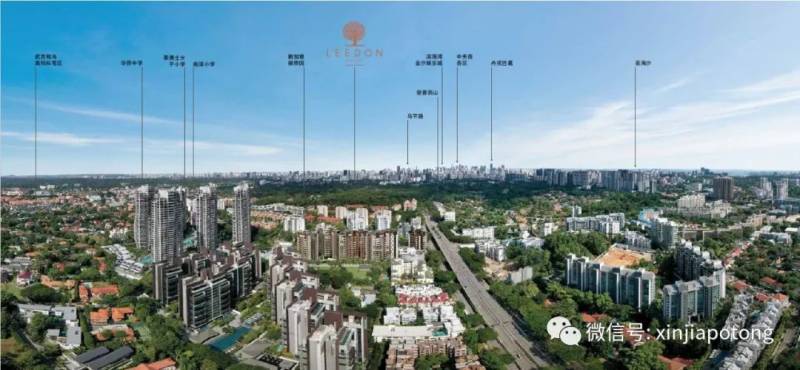 疫情後，新加坡又多了這些億萬富豪！有幾個中國來的