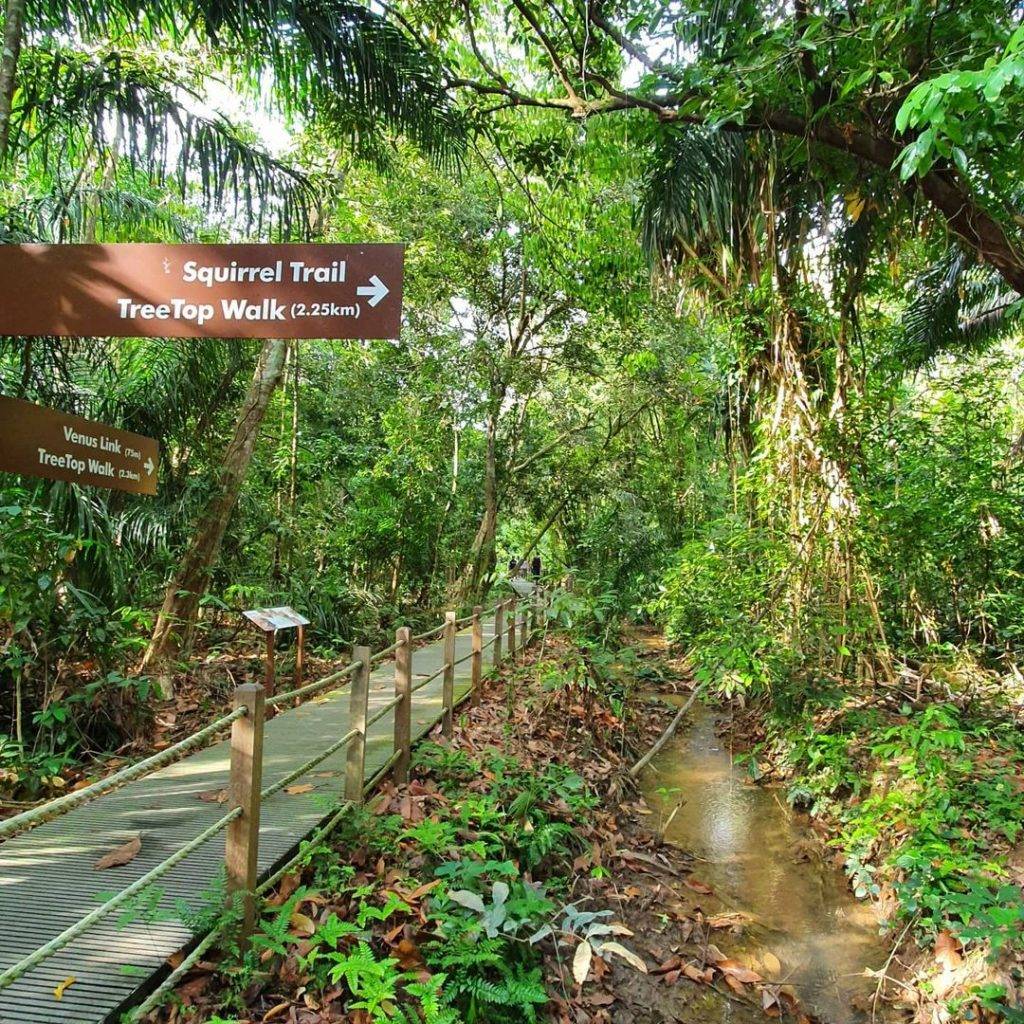 徒步吸氧去🍃Windsor Nature Park濕地公園，隱秘寶藏仙境✨ 3段徒步路徑、淡水溪流、沼澤棲息地