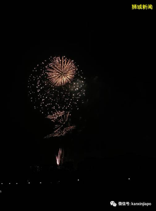 疫情籠罩2020新加坡國慶,絢爛煙花全島怒放,祈禱平安,瘟疫退散