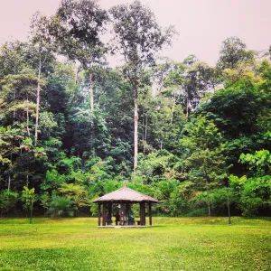 周末了,是時候環遊世界了,新加坡小桂林了解一下