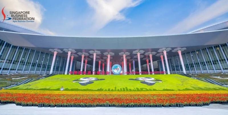 带上这份进博会新加坡展馆攻略，我们在进博会等你