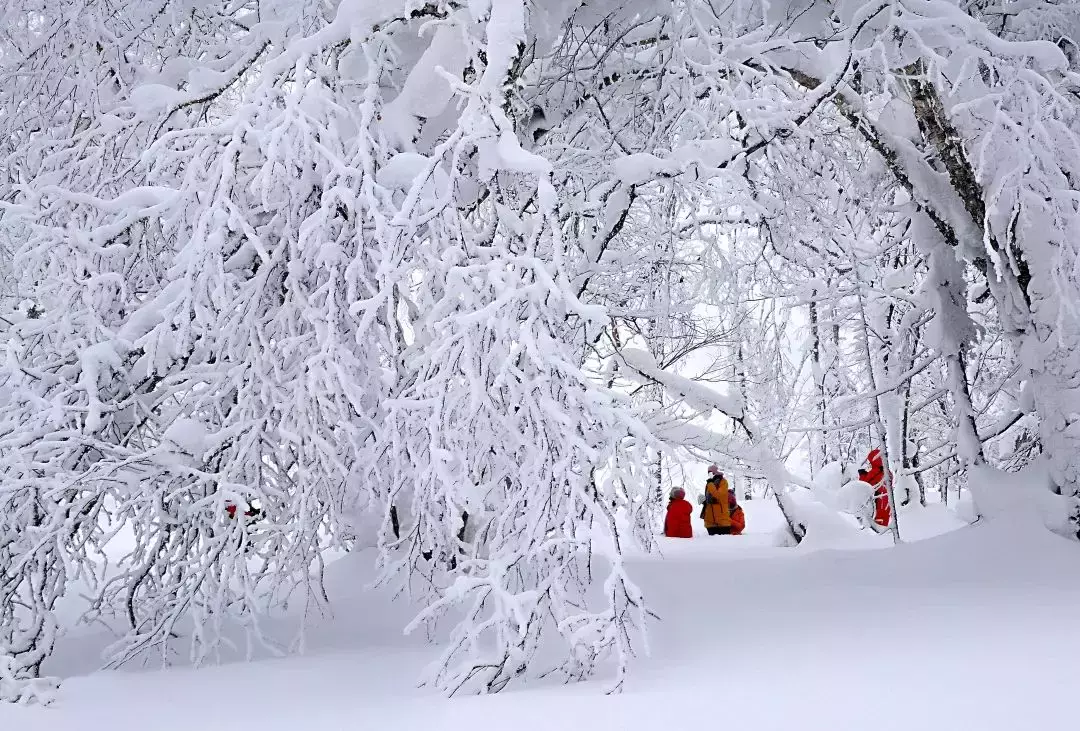 “黑龍江非常冰雪之旅”在新加坡上線