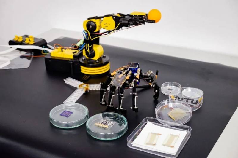 NTU 科研團隊實現機器人識別疼痛及自我修複功能