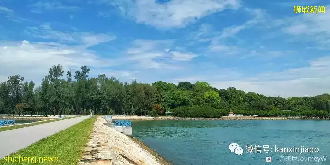 新加坡离岛攻略,半个多小时便能收获美景天堂