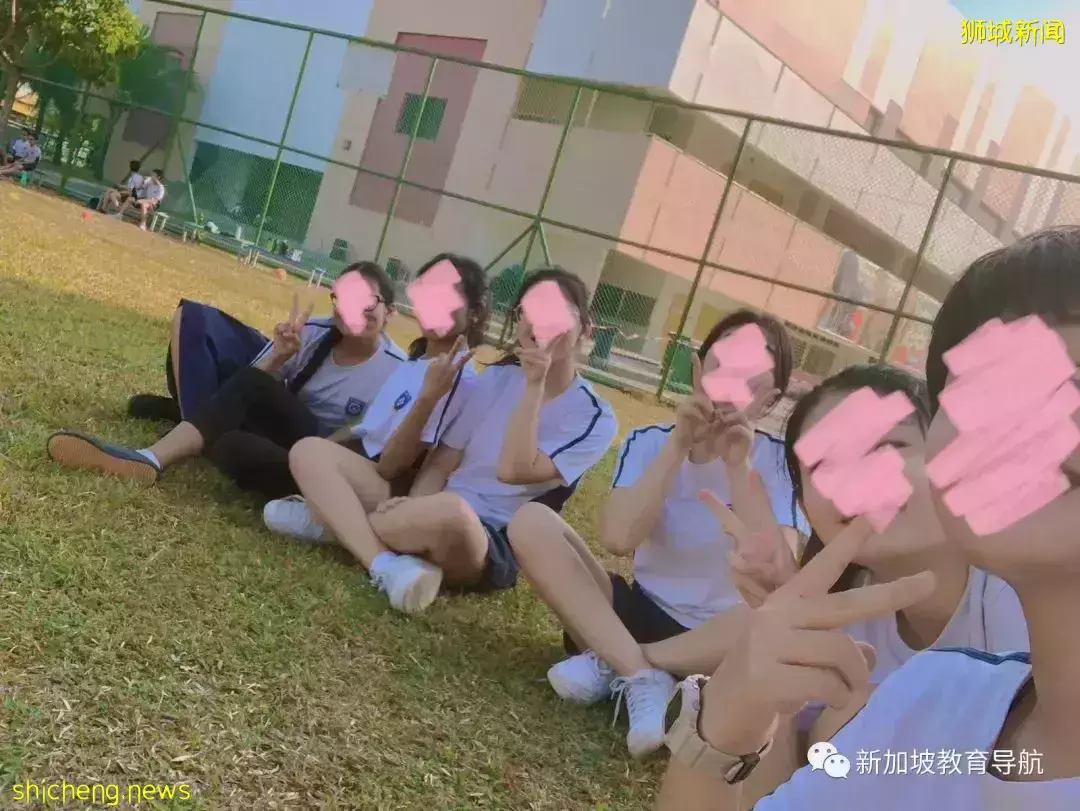 中、美、新三国鼎立哪家强?留学生们用亲身经历告诉你~(一)