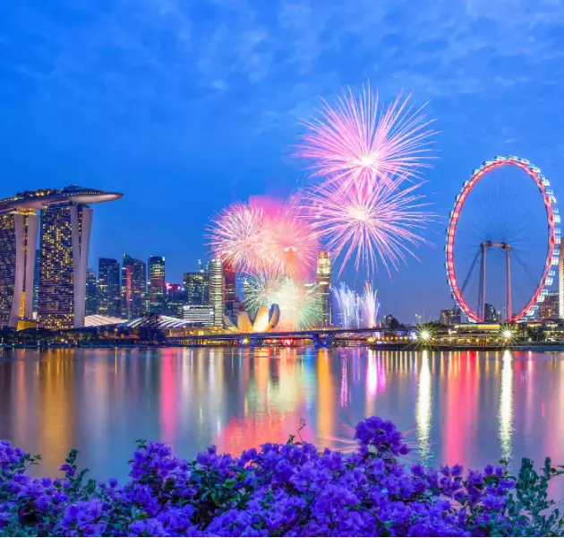 人人熟知的SingPass究竟是什麽，你了解嗎