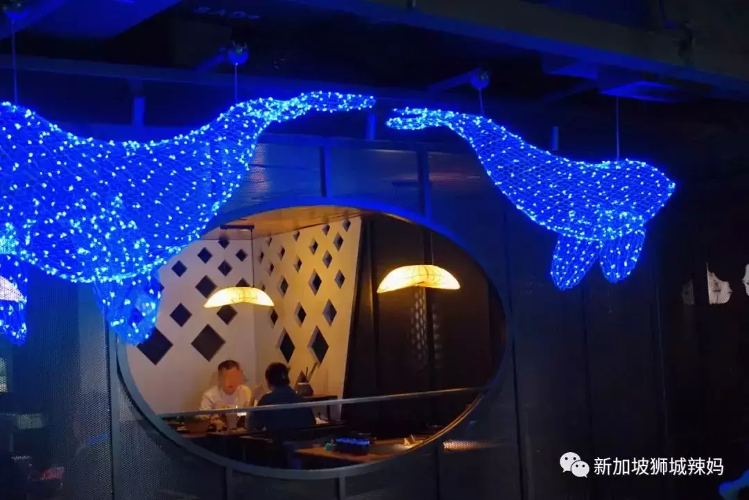 排队5小时!网红凑凑火锅来新加坡了!锅底无限续、奶茶免费喝!菜品大曝光