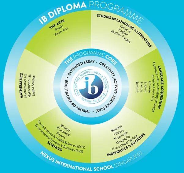 政府学校 VS 国际学校 VS私立学校，该如何选择？这里有一份择校攻略送给你！ 适合自己才是最好的