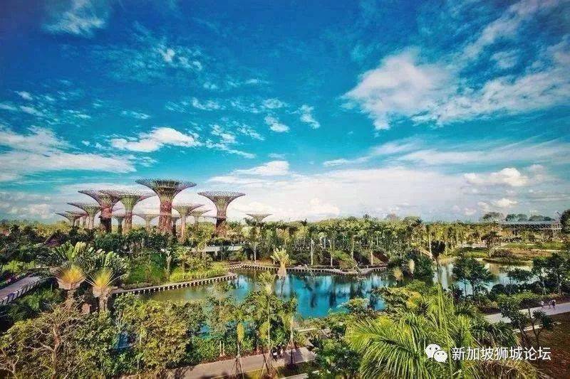 新加坡打造城市绿洲：一条步行长廊连接新加坡河和乌节