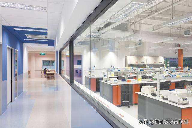 凭高考成绩到新加坡留学，如何申请学校