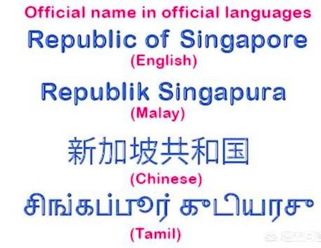 獅城百科 擇校季即將來臨！新加坡的公立、私立、國際學校到底有什麽區別？一起來看看吧