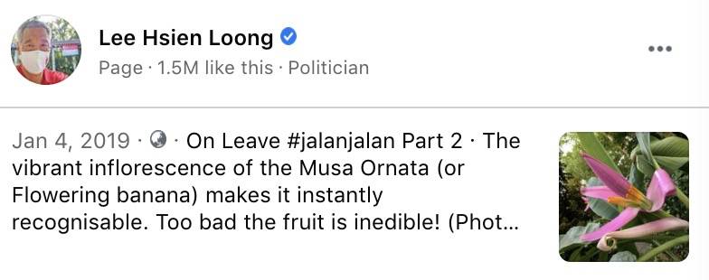 热议!李显龙开始休假!网友:龙哥会去哪里