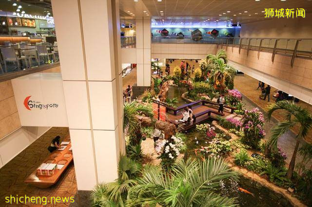 谁说机场一定无聊,新加坡机场到底有多好玩