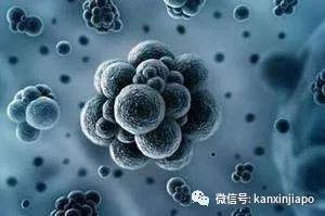 中国武汉肺炎出现首起死亡病例!新加坡暂未发现险情