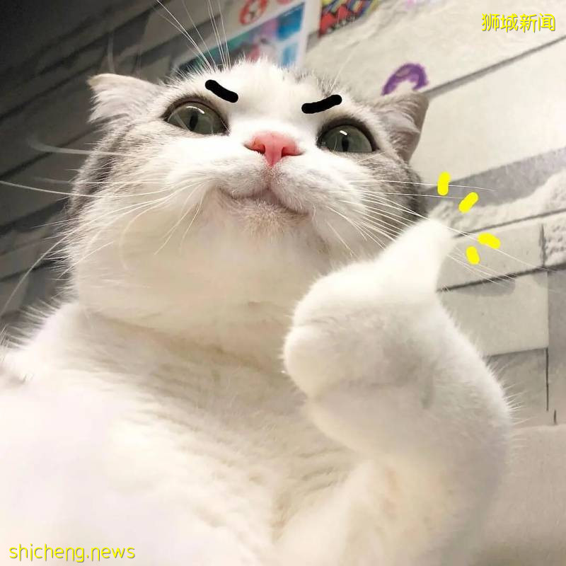 故事集市 | 一場疫情打碎 or 重塑了你的生活