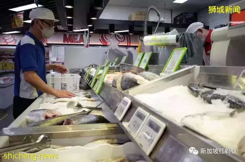 新加坡竟有26%海产被贴错标签 鲨鱼被标成海鲂、齿鱼标为鳕鱼