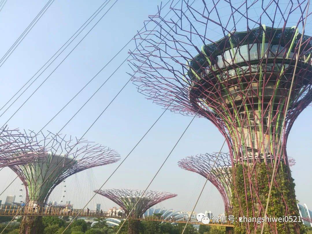 新加坡遊記系列 常規又不常規的獅城遊覽