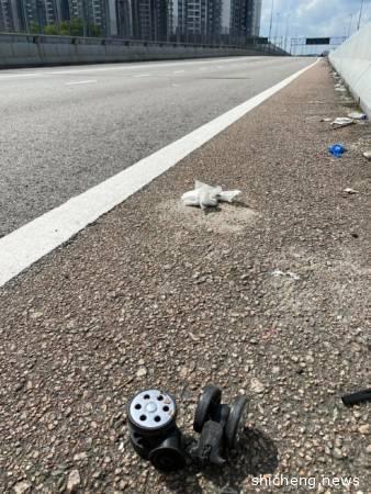 ◤行动管制◢管制期29天后....... 长堤上到处是行李轮子