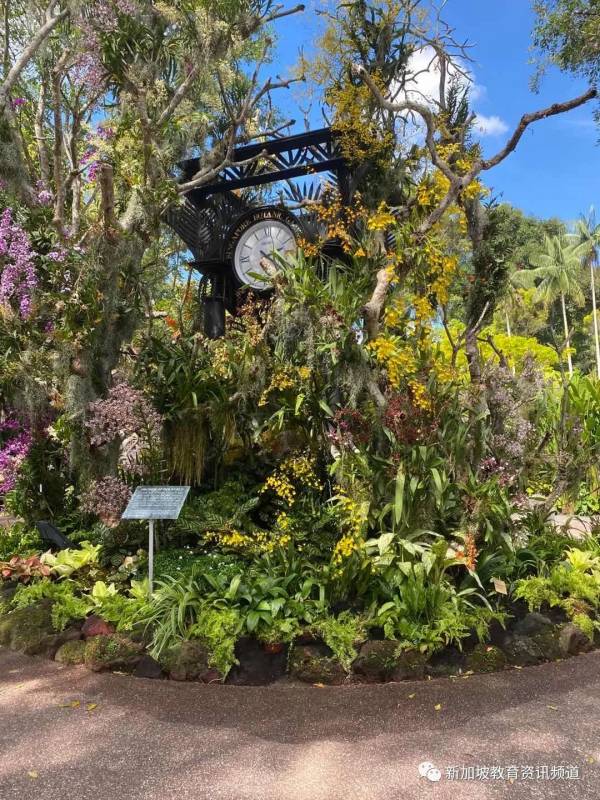 【狮城万象】关于新加坡,你不知道的10件趣闻轶事(二)