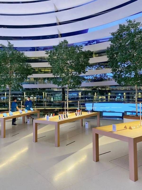 新加坡 不能错过的高颜值打卡地攻略(上)