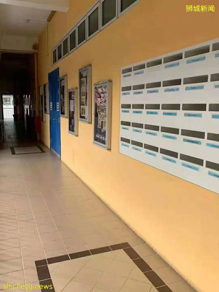 2022年最新 新加坡中小学和理工学院学费汇总